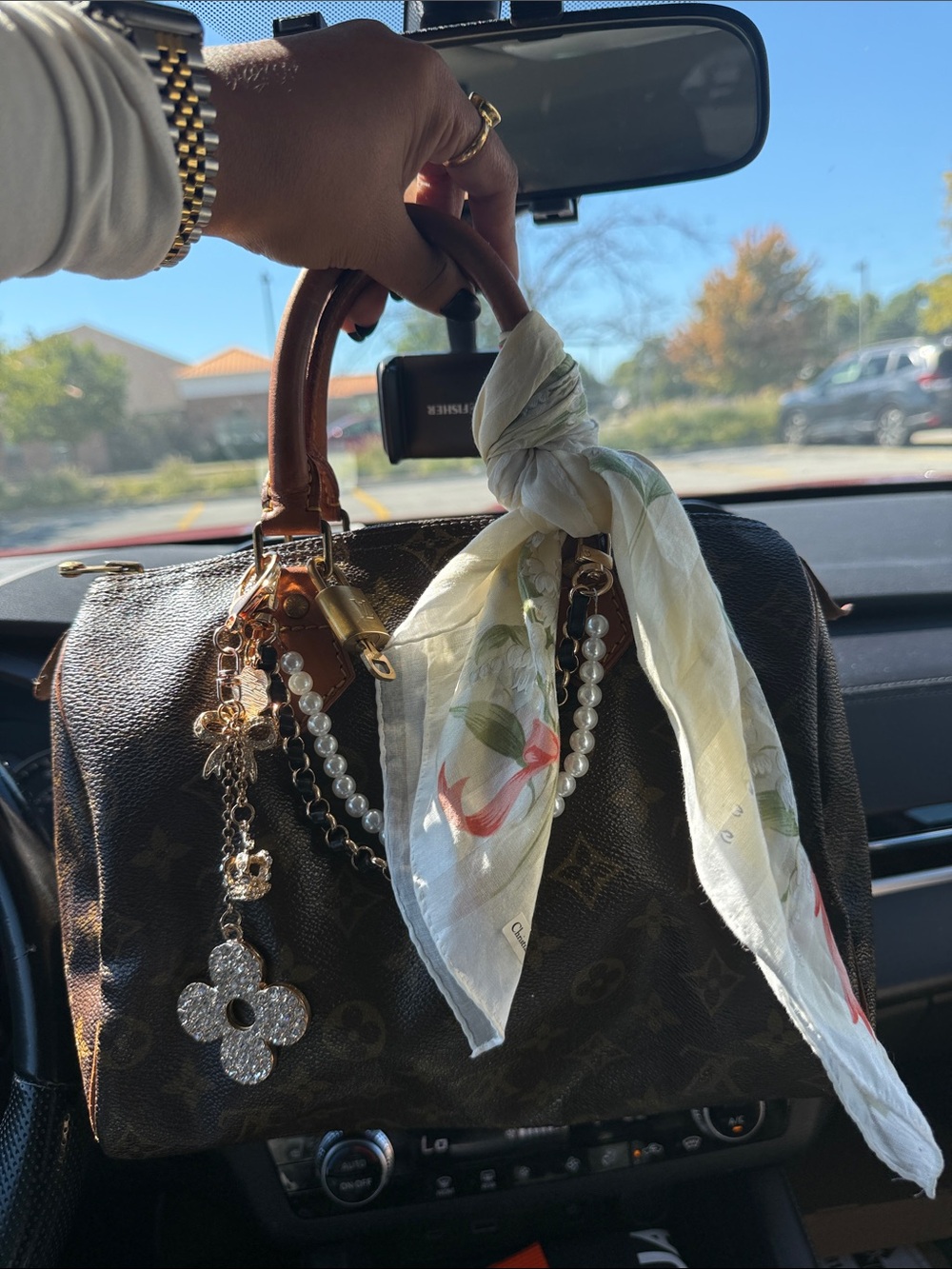 LV SPEEDY 25 (Louis Vuitton)